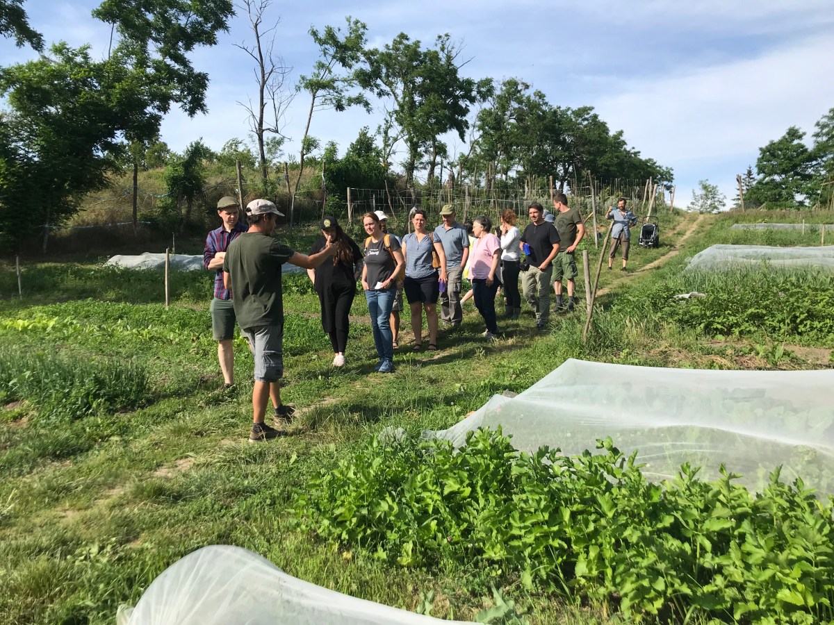 Miért vagyunk “nyitott” kert?