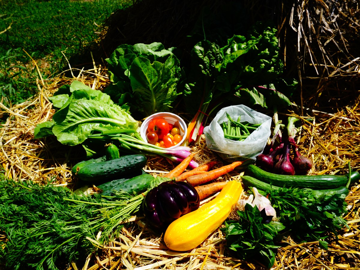 Megnyílt a csatlakozási lehetőség az idei&nbsp;szezonra!
