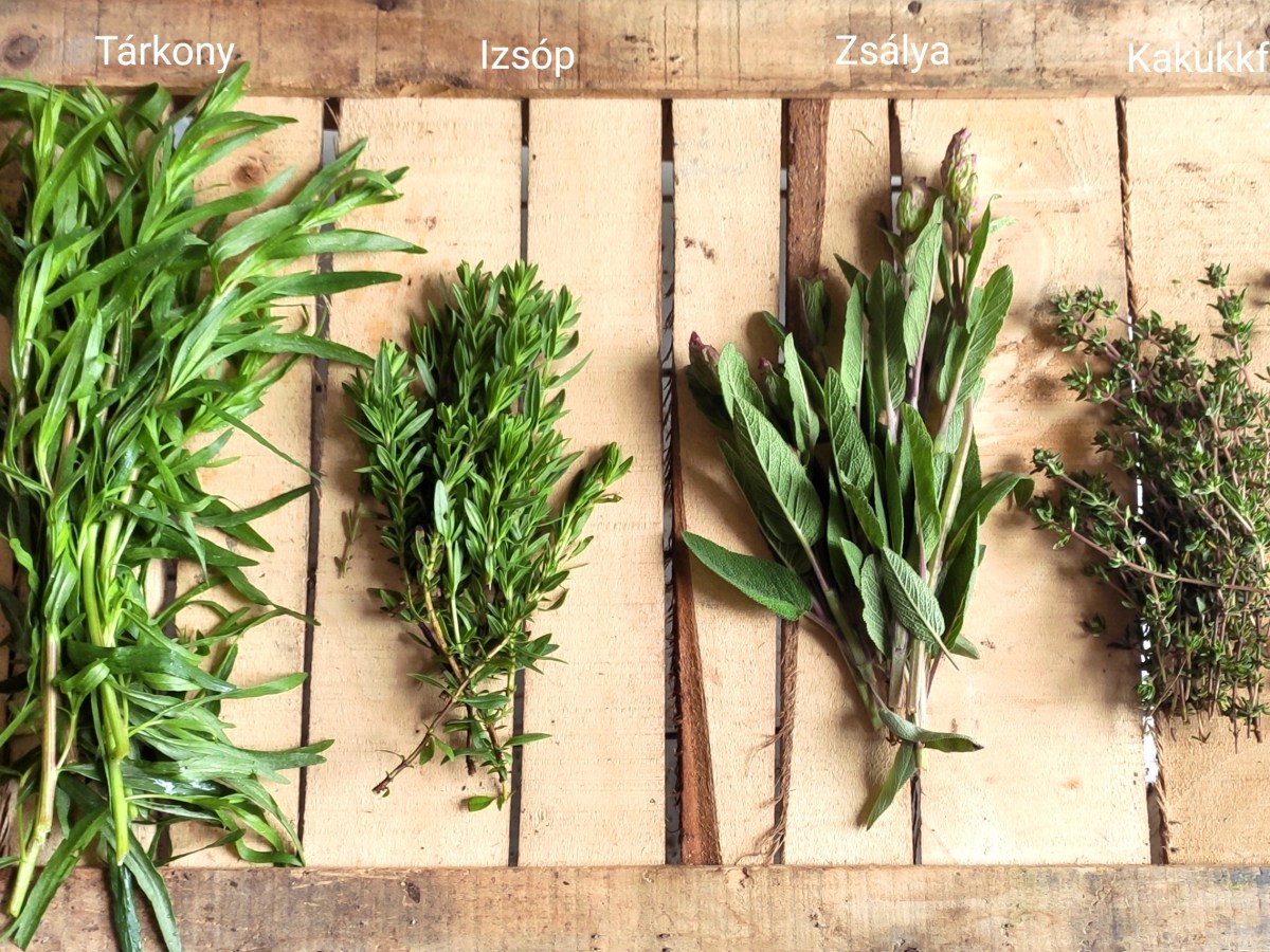 Budapesten is elérhetőek vagyunk&nbsp;már!