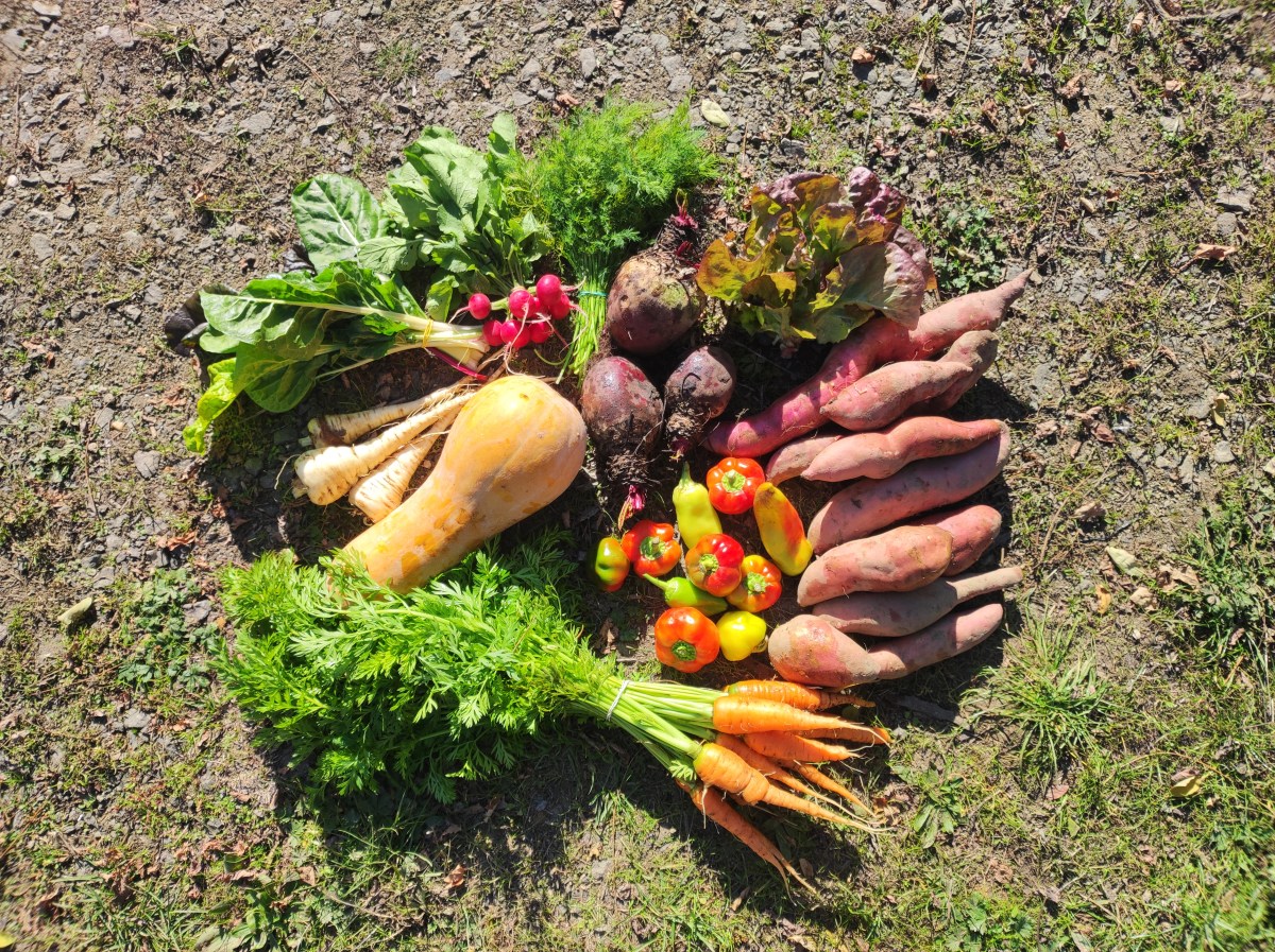 Új átadópont Dunakeszin!