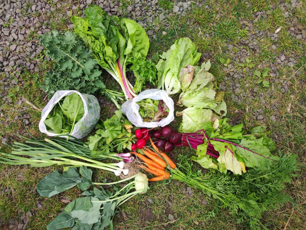 Legutóbbi médiamegjelenéseink