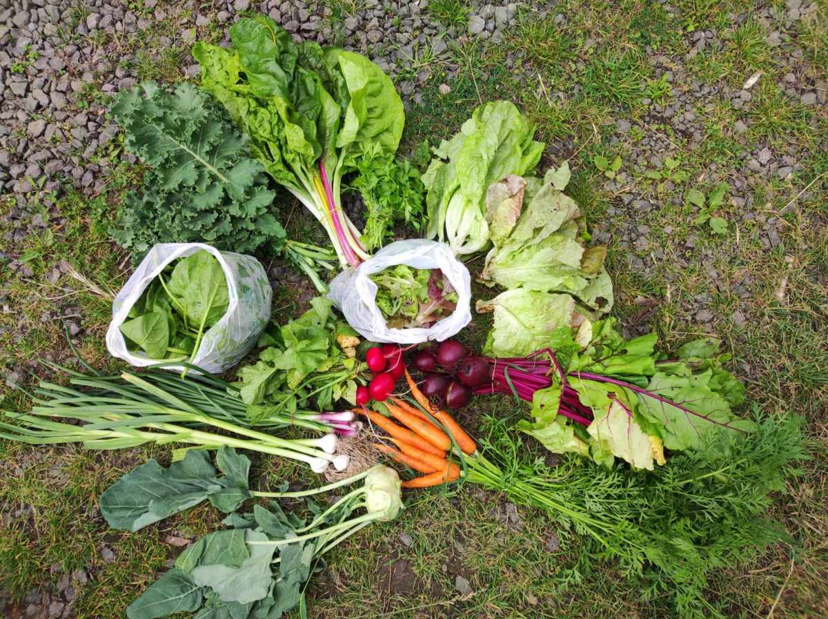 Legutóbbi médiamegjelenéseink