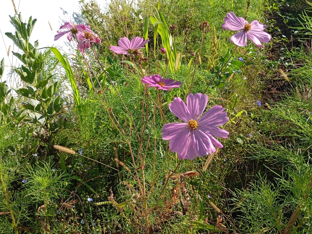 Mit is jelent az, hogy agroökológia és természetbarát&nbsp;gazdálkodás?
