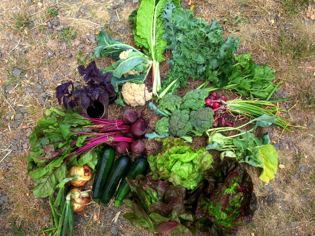 Újra lehet csatlakozni zöldségdoboz&nbsp;közösségünkbe!